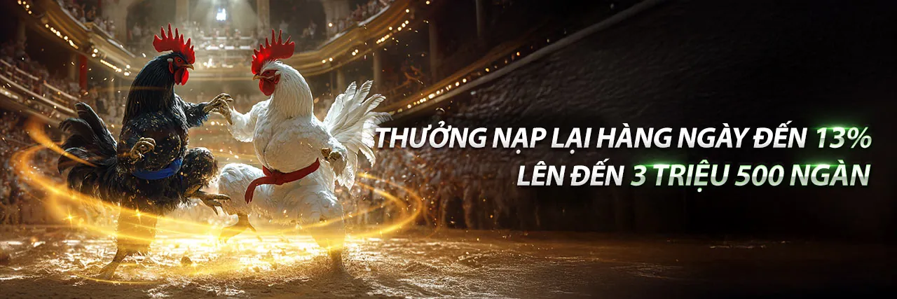 Đá gà trực tuyến kịch tính tại trang web chính thức helo888